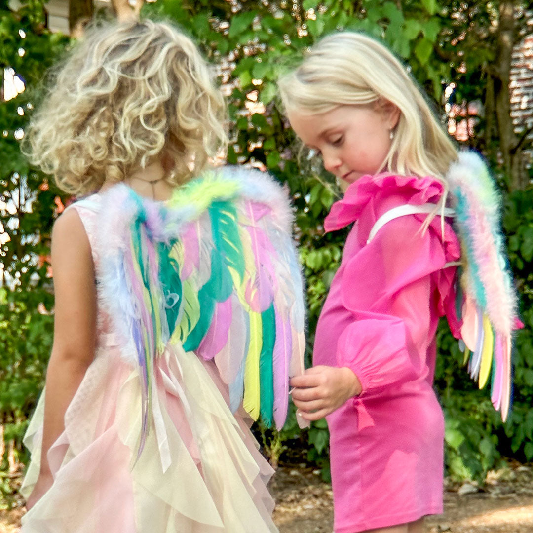 Small Butterfly Wings - Pastel - Feather Wings