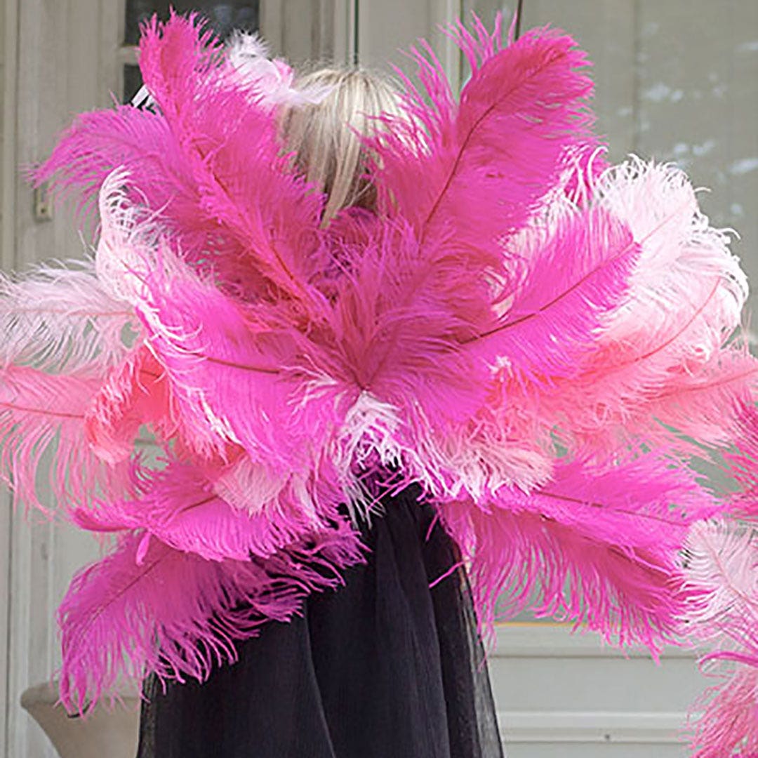 Small Flamingo Costume - Feathers