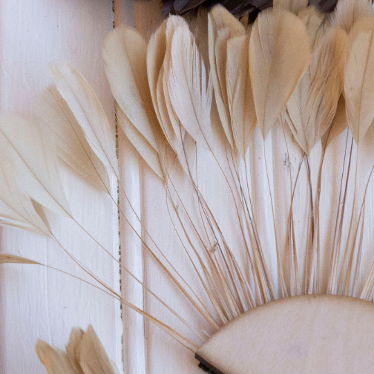 Small half moon Beige Feather Wall Art Set - Feathers