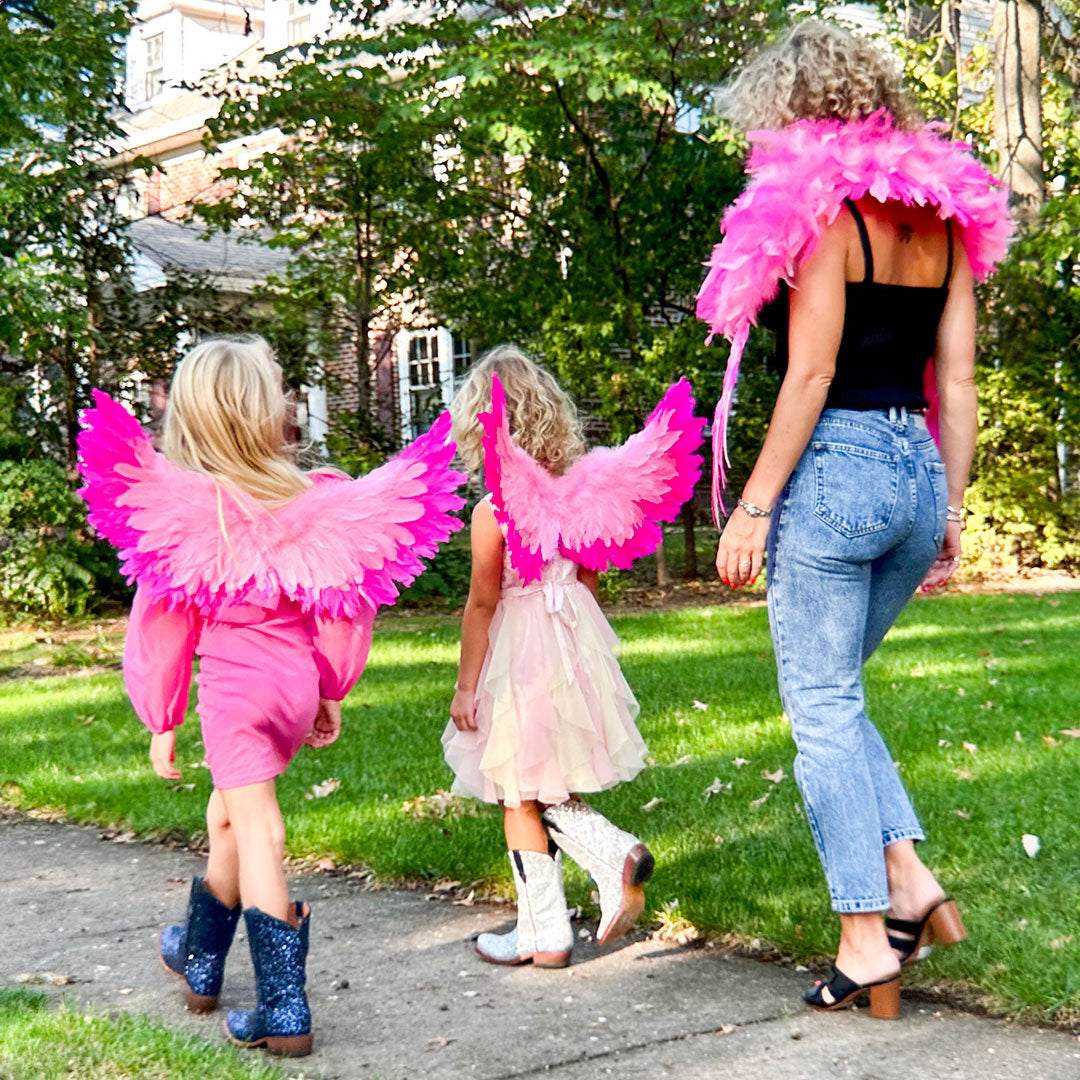 Small Two-tone Pink Wings - Feather Wings