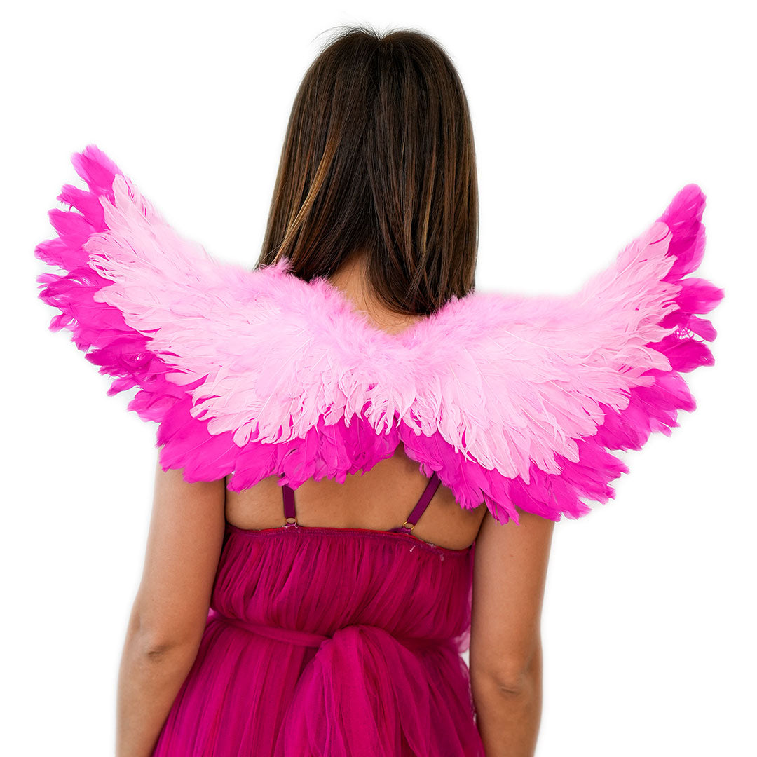 Small Two-tone Pink Wings - Feather Wings