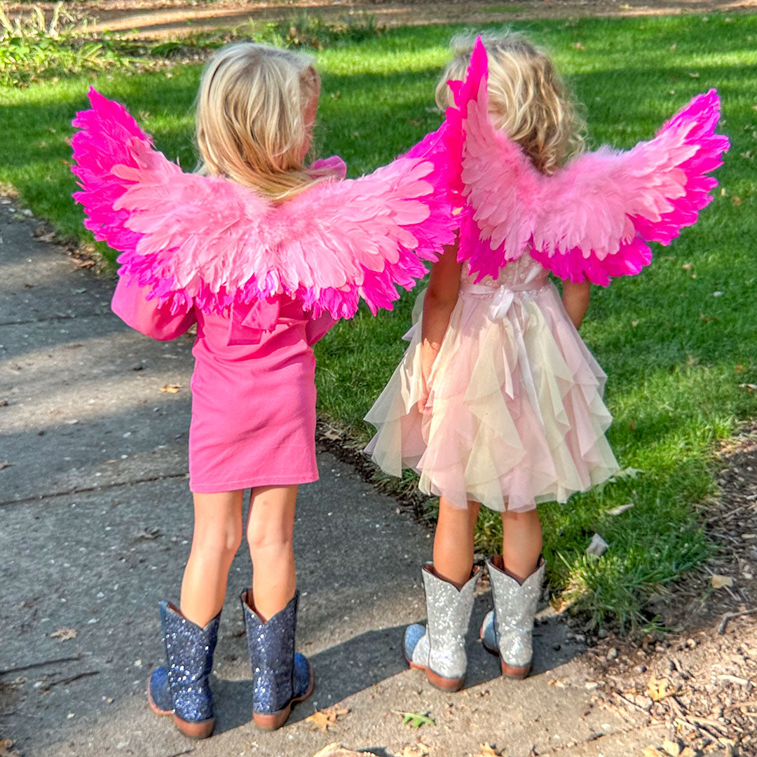 Small Two-tone Pink Wings - Feather Wings