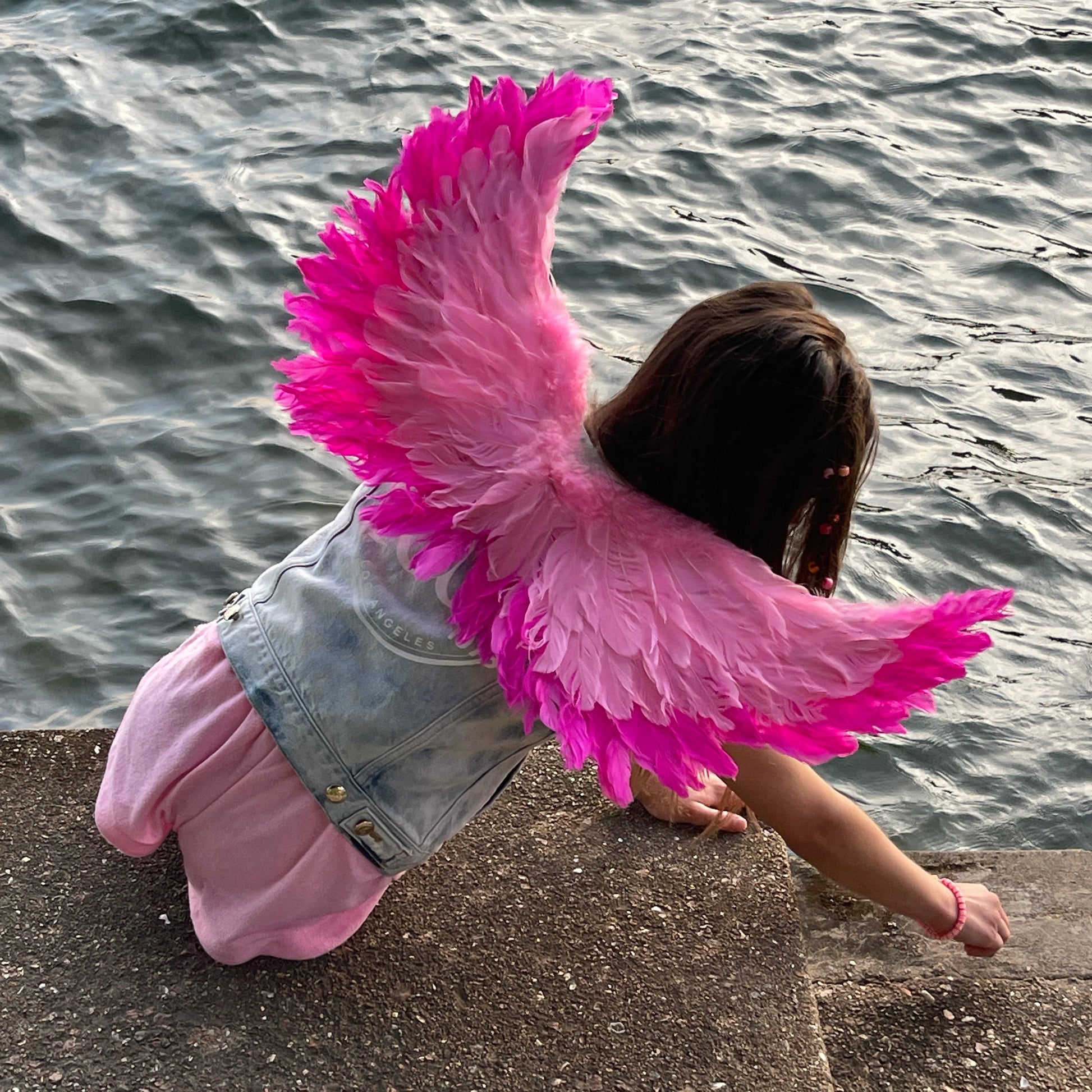 Small Two-tone Pink Wings - Feather Wings