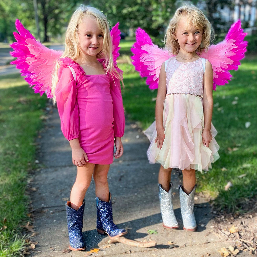 Small Two-tone Pink Wings - Feather Wings