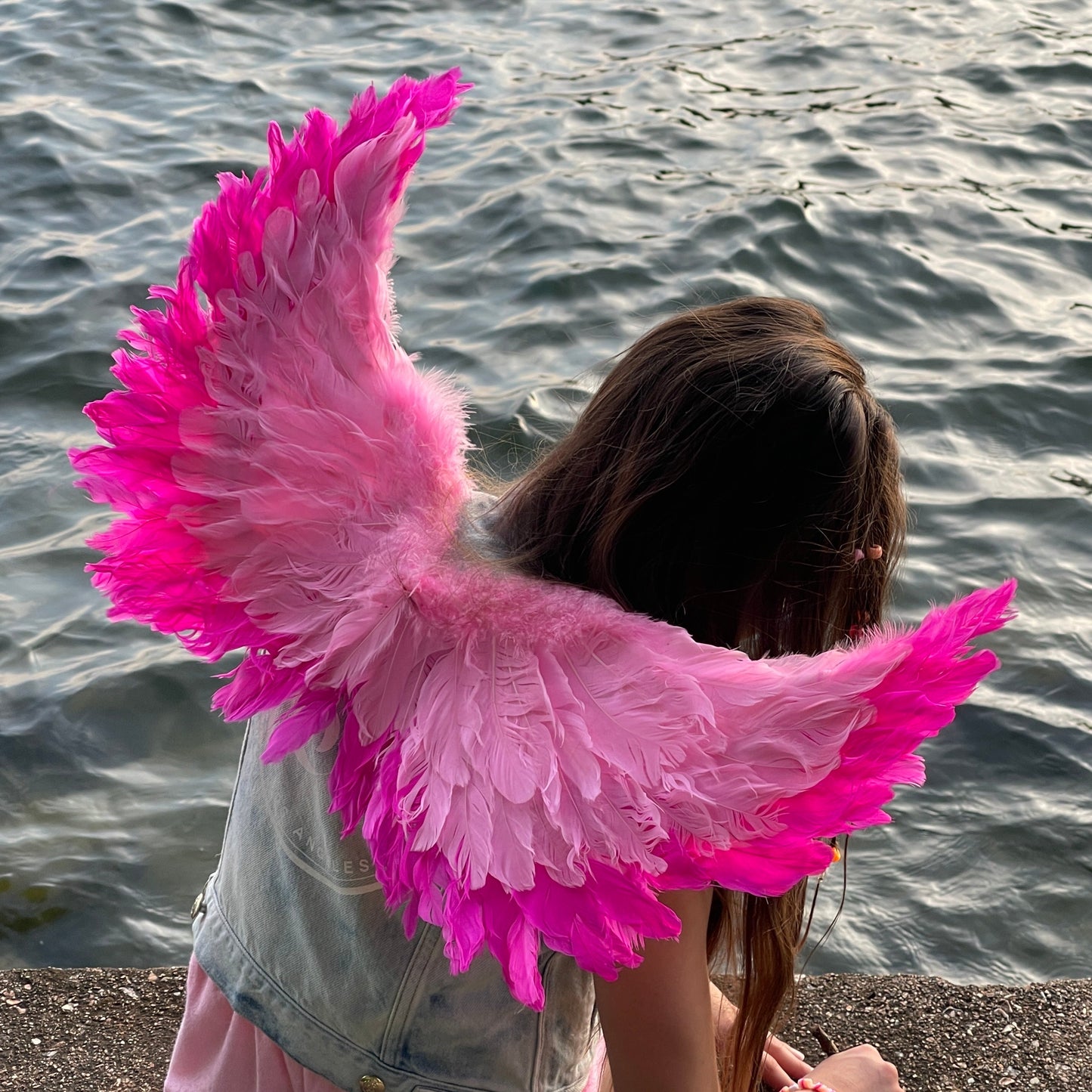 Small Two-tone Pink Wings - Feather Wings