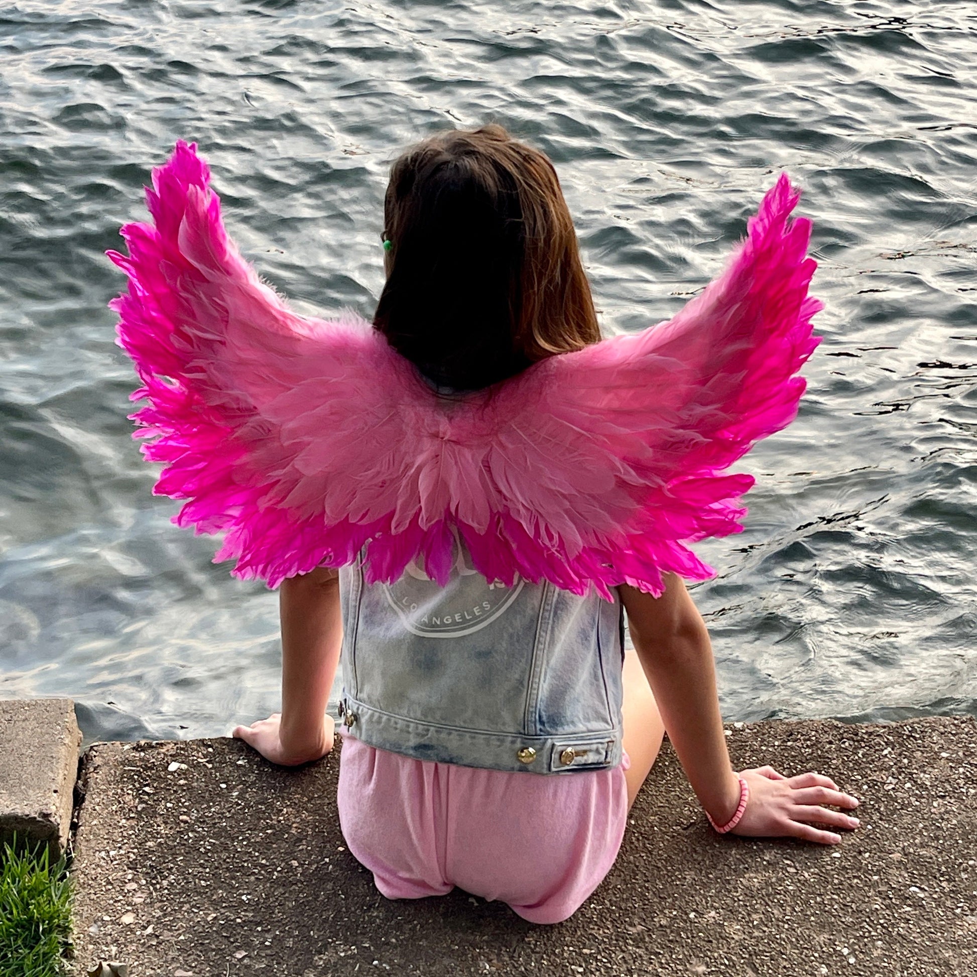 Small Two-tone Pink Wings - Feather Wings