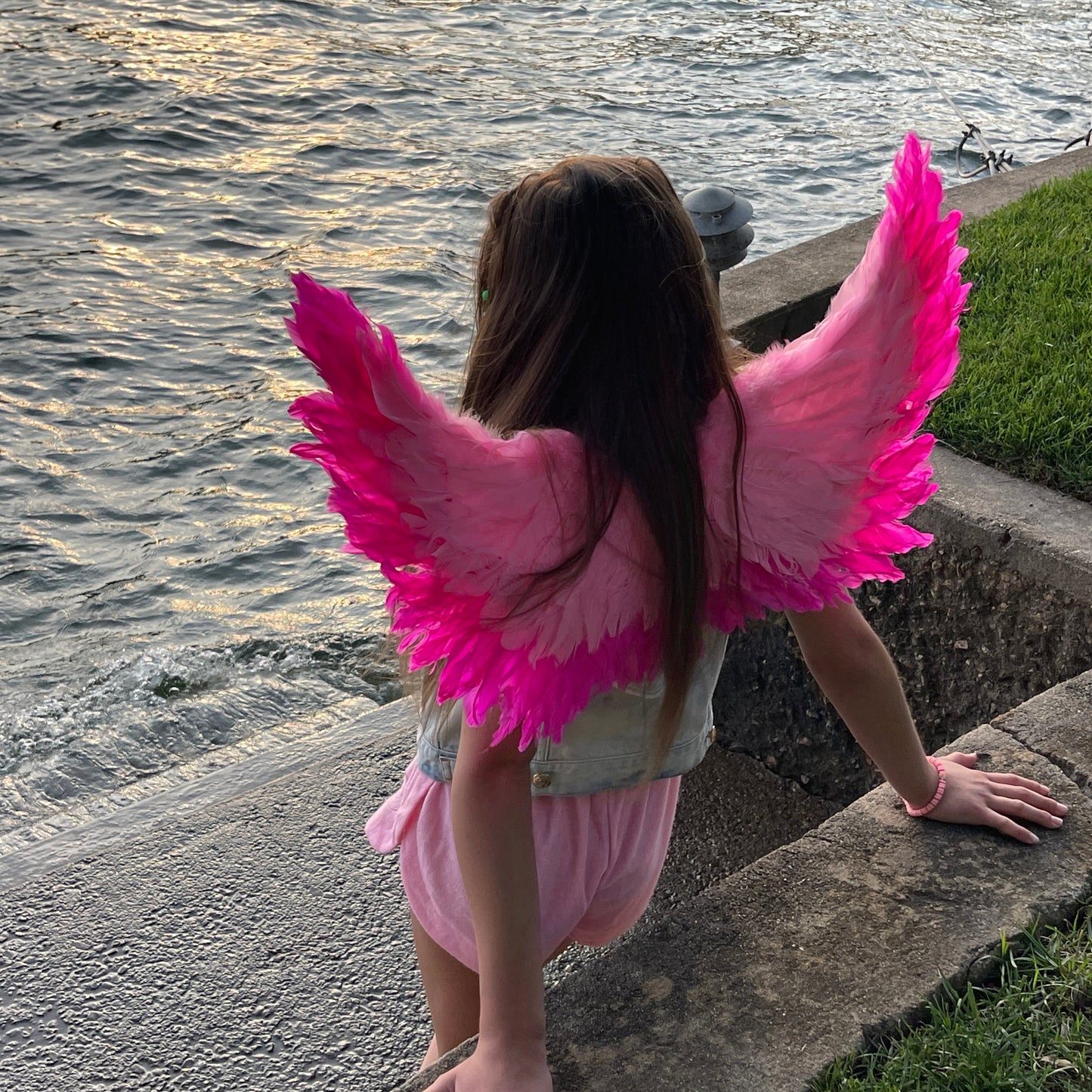 Small Two-tone Pink Wings - Feather Wings