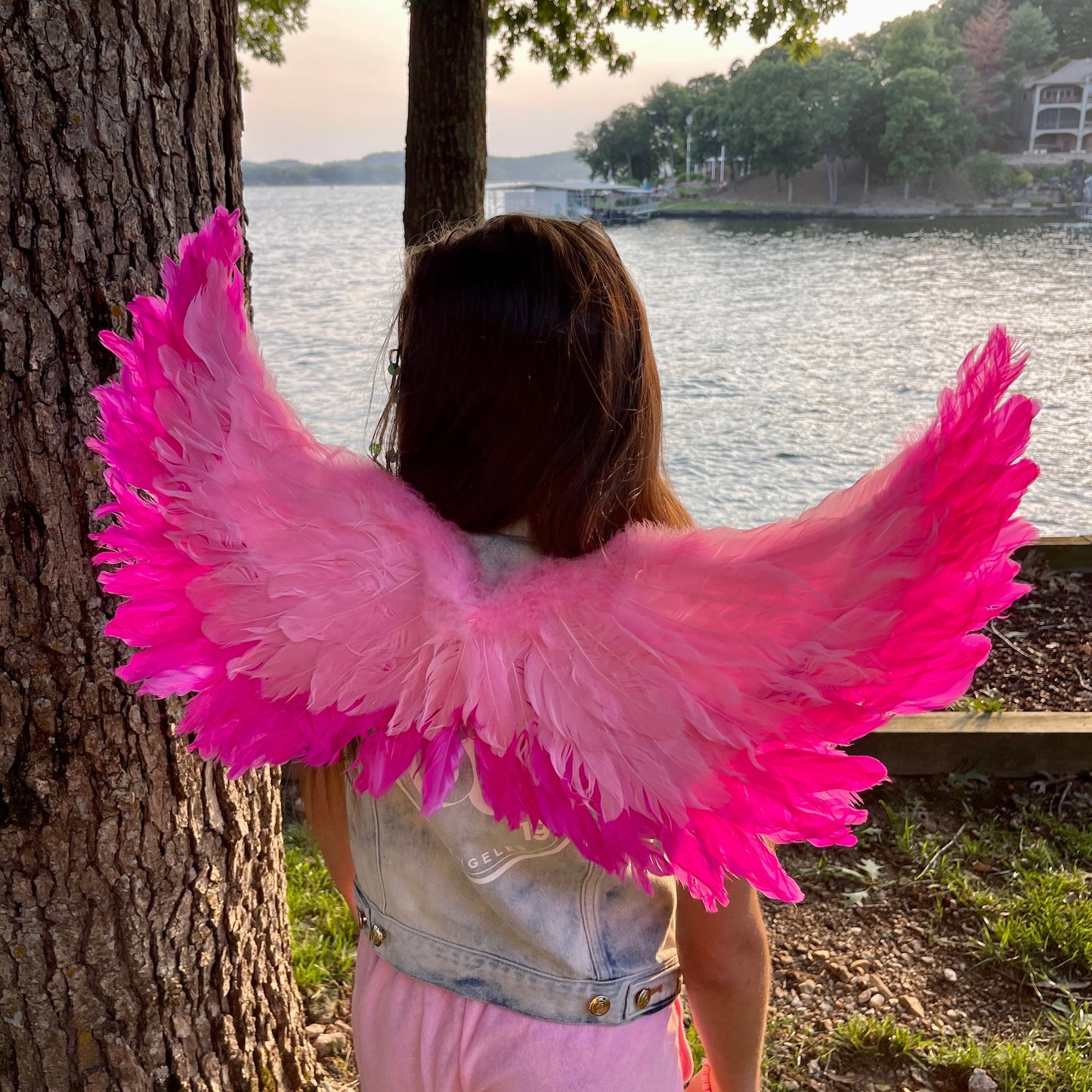 Small Two-tone Pink Wings - Feather Wings