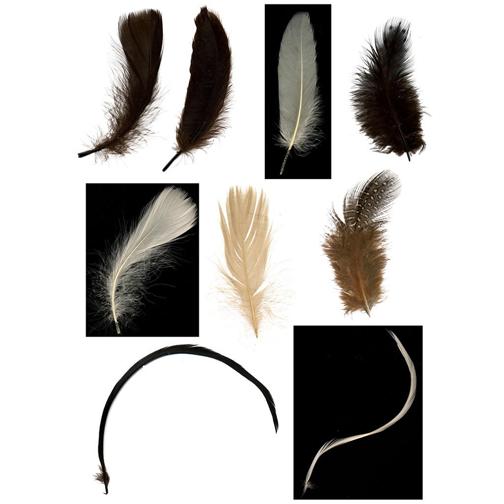 Spice Feather Mix - Spice Mix - Feathers