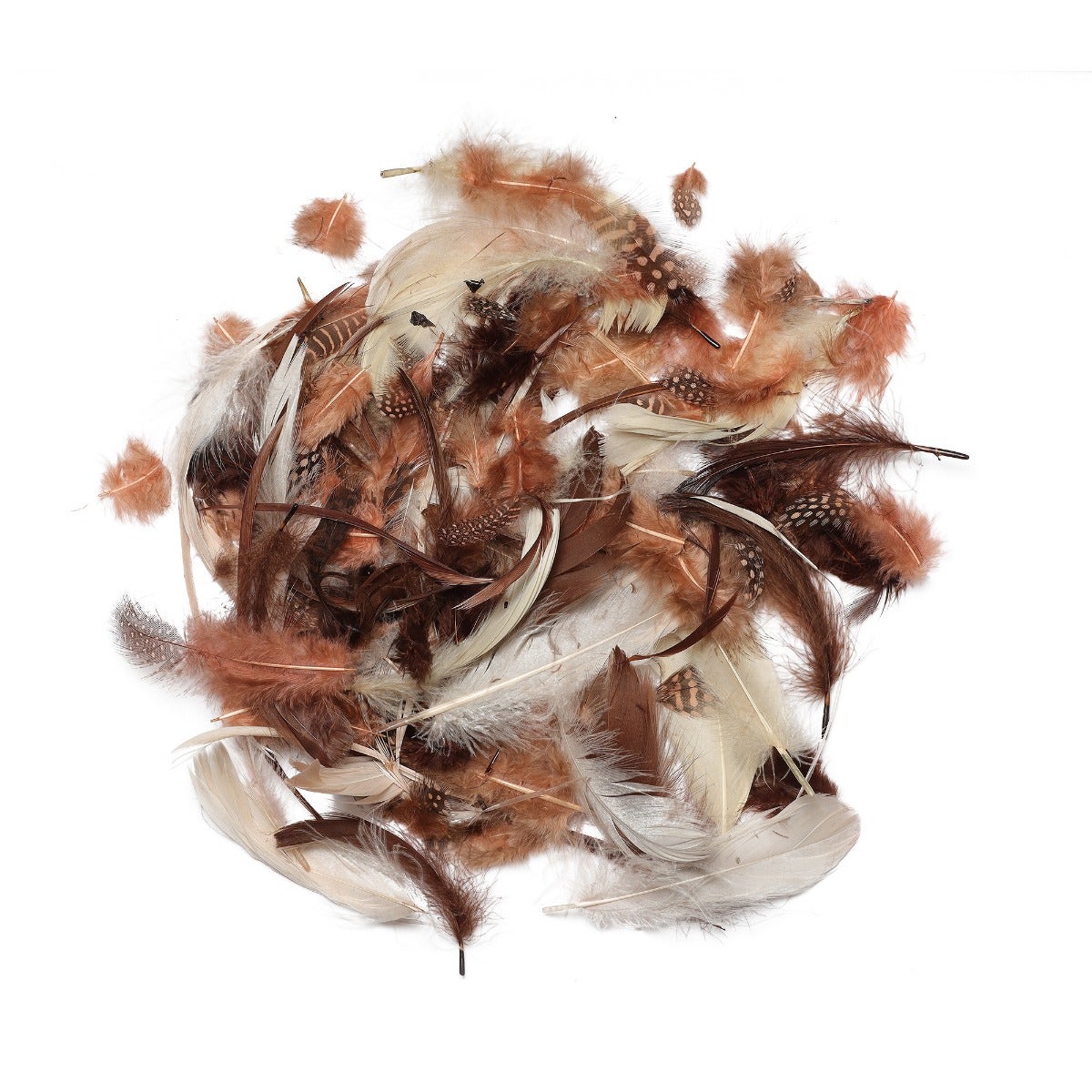 Spice Feather Mix - Spice Mix - Feathers