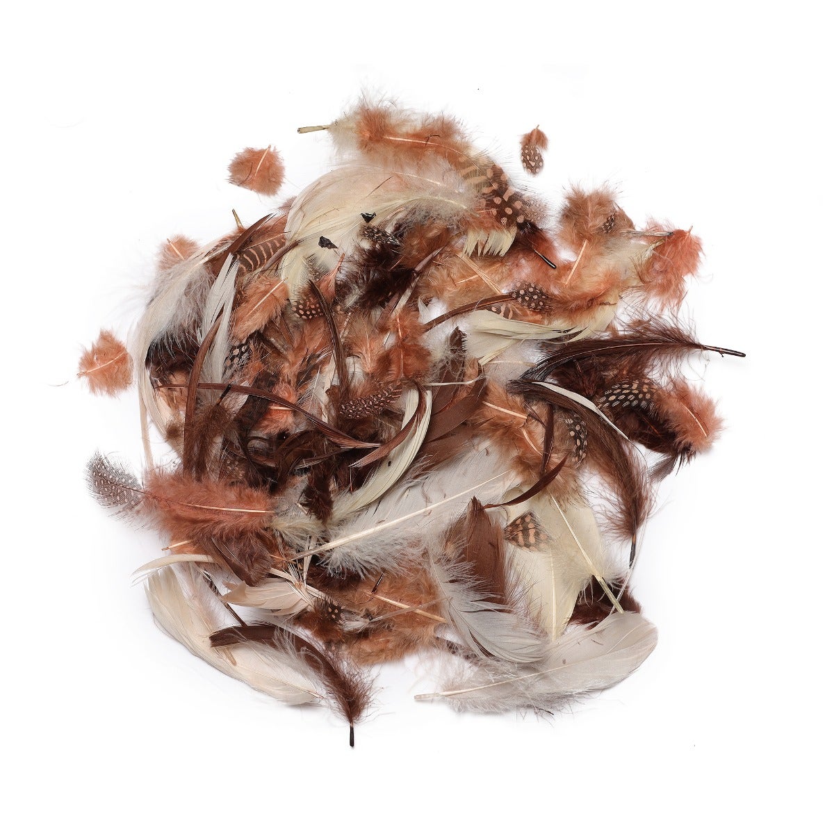 Spice Feather Mix - Spice Mix - Feathers