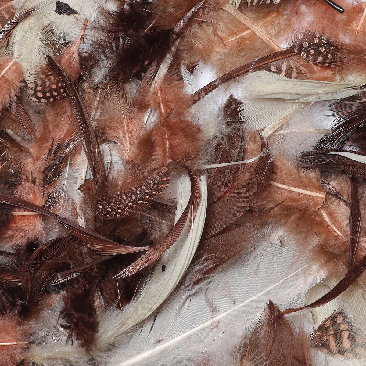 Spice Feather Mix - Spice Mix - Feathers