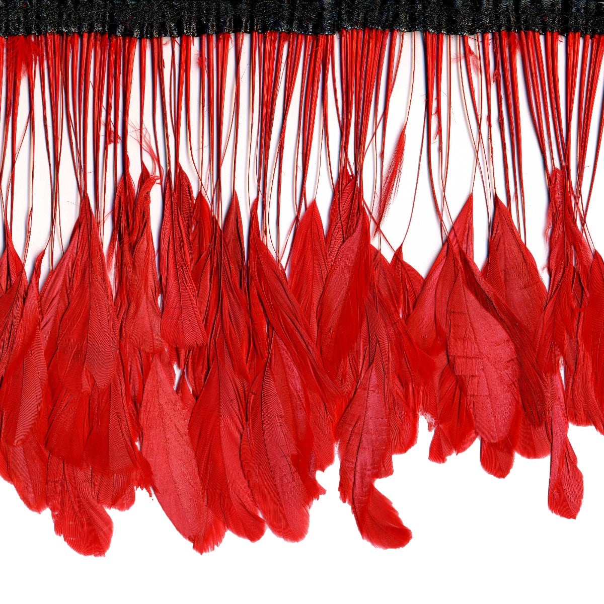 Stripped Bleached Coque Fringe - Red - Feathers