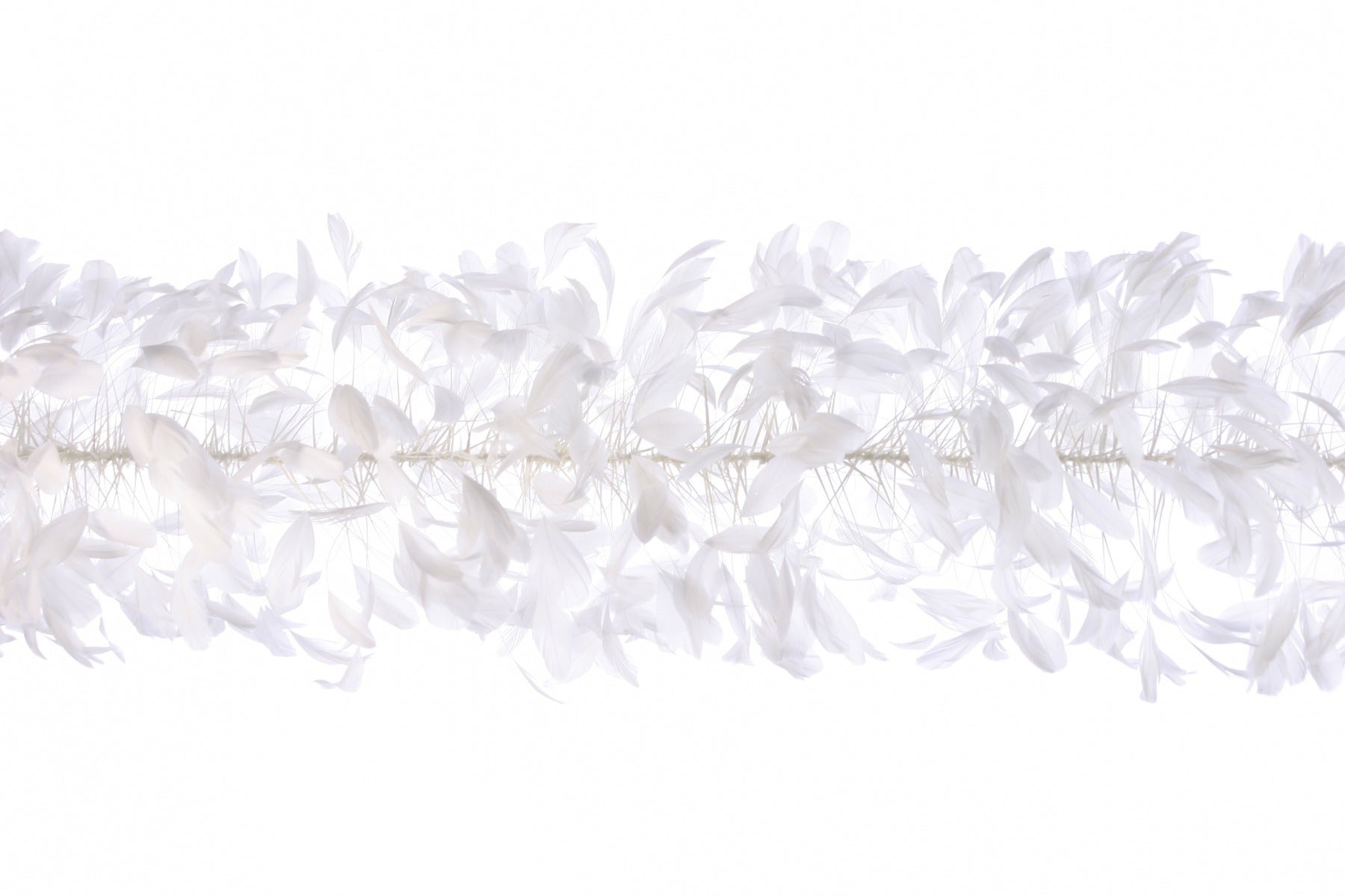 Stripped Coque Feather Boa - White - Coque Boa