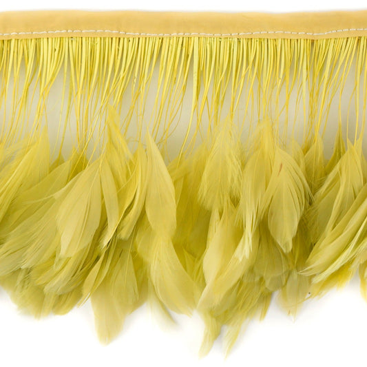 Stripped White-Dyed Coque Fringe - Celery - Feathers