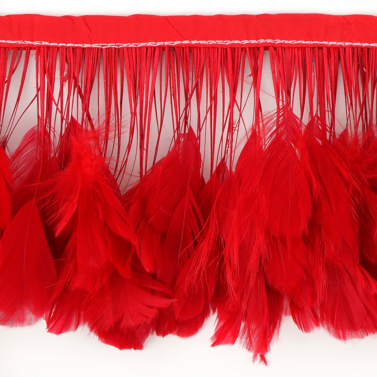 Stripped White-Dyed Coque Fringe - Red - Feathers