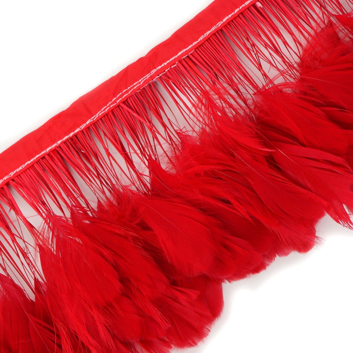 Stripped White-Dyed Coque Fringe - Red - Feathers