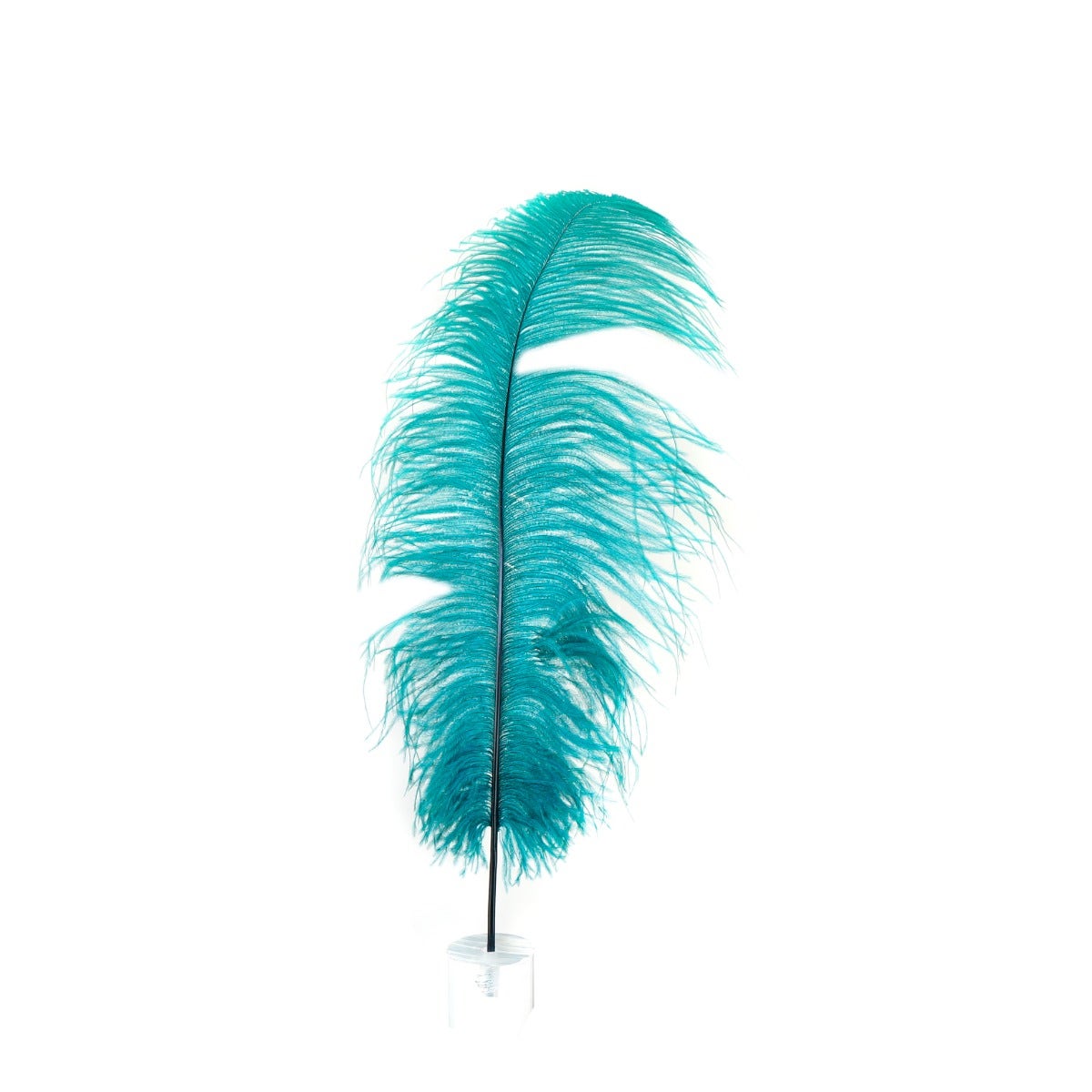 Bulk Ostrich Feathers-Damaged Drabs - Teal