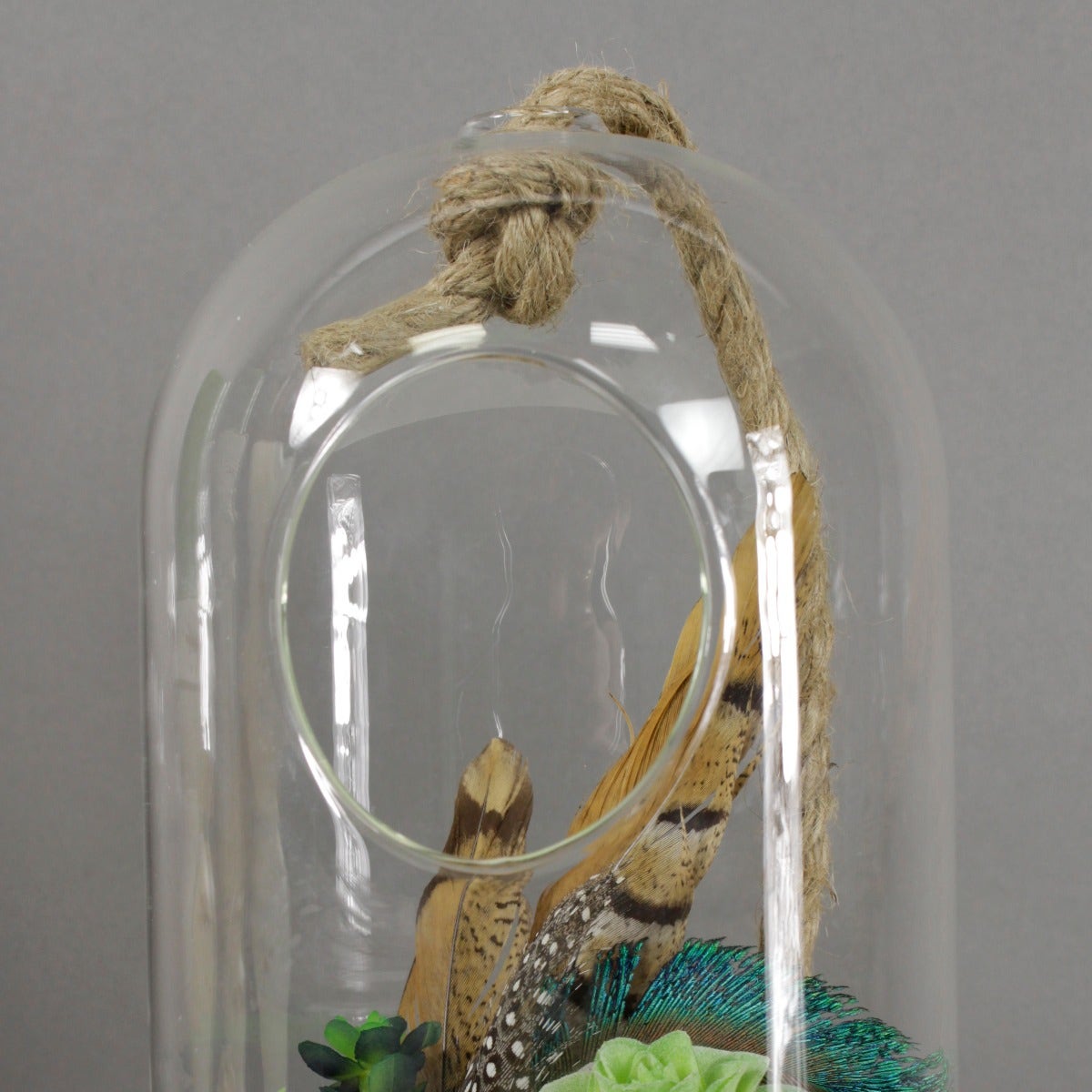 Terrarium Vase With Rope 10.5’’ - Clear - Feathers