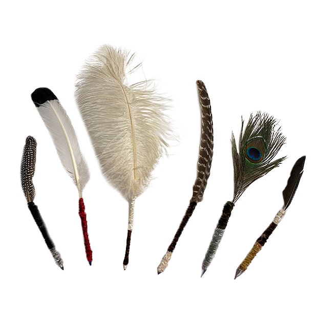 THE WIZARD PEN KIT - Feathers