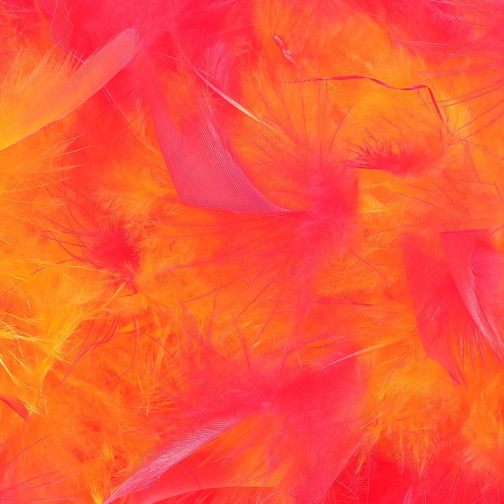 Tipped Chandelle Feather Boa - Heavyweight - Orange/Shocking Pink - Chandelle Boa