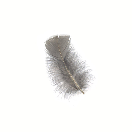 TP--GR Loose Turkey Plumage Feathers - Grey - Feathers