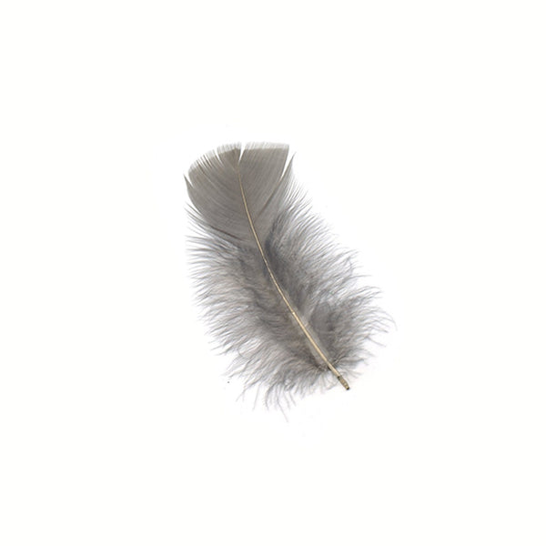 セール！ Feather and Brush：オーストラリア鳥類芸術300年 Ostrich Drab Feathers (Long) for Sale