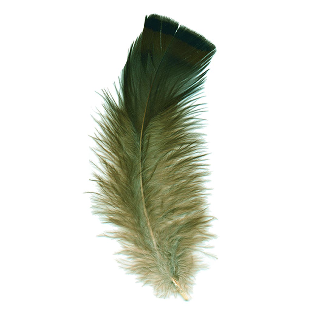 Turkey Feather Flats - Iridescent Bronze - Natural - Feathers