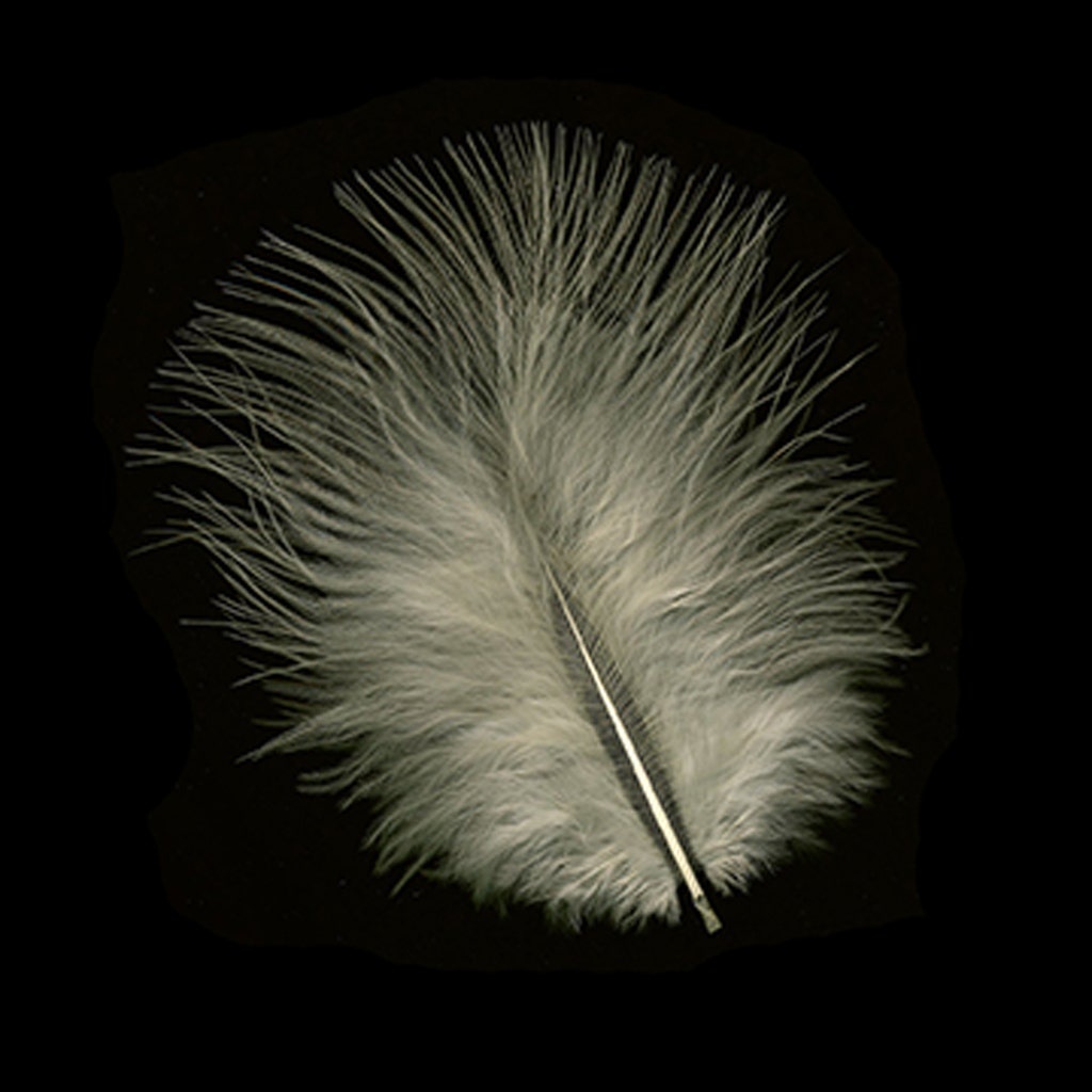 Turkey Marabou Dyed - Eggshell - Feathers