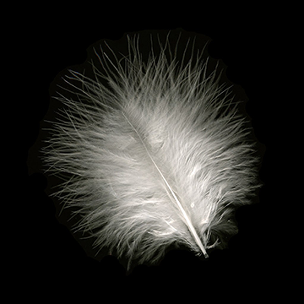 TURKEY MARABOU FEATHERS 1-4’’ - WHITE - Feathers