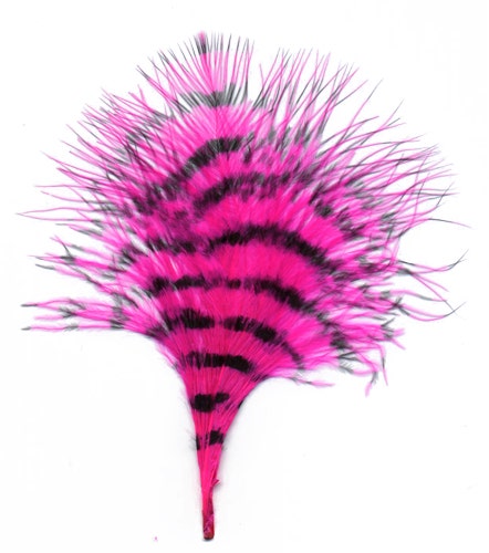 Turkey Marabou Stenciled - Shocking Pink/Black - Feathers