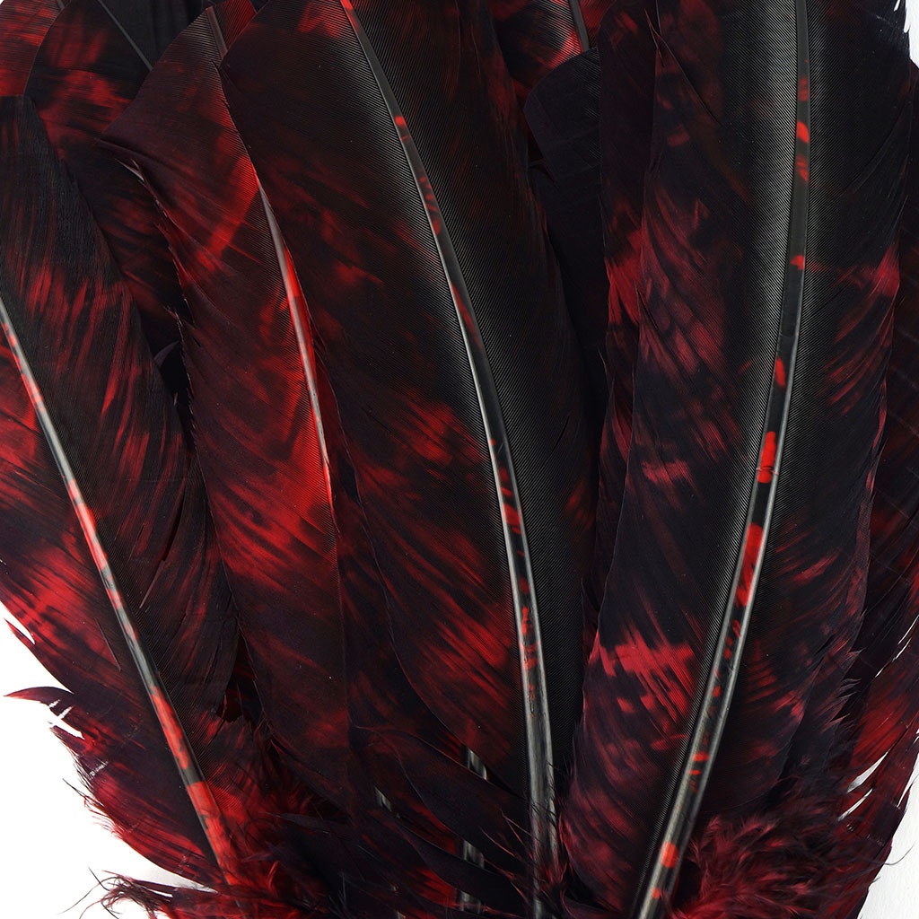 Turkey Quill Left Wing - Tie Dye - Red & Black - Feathers