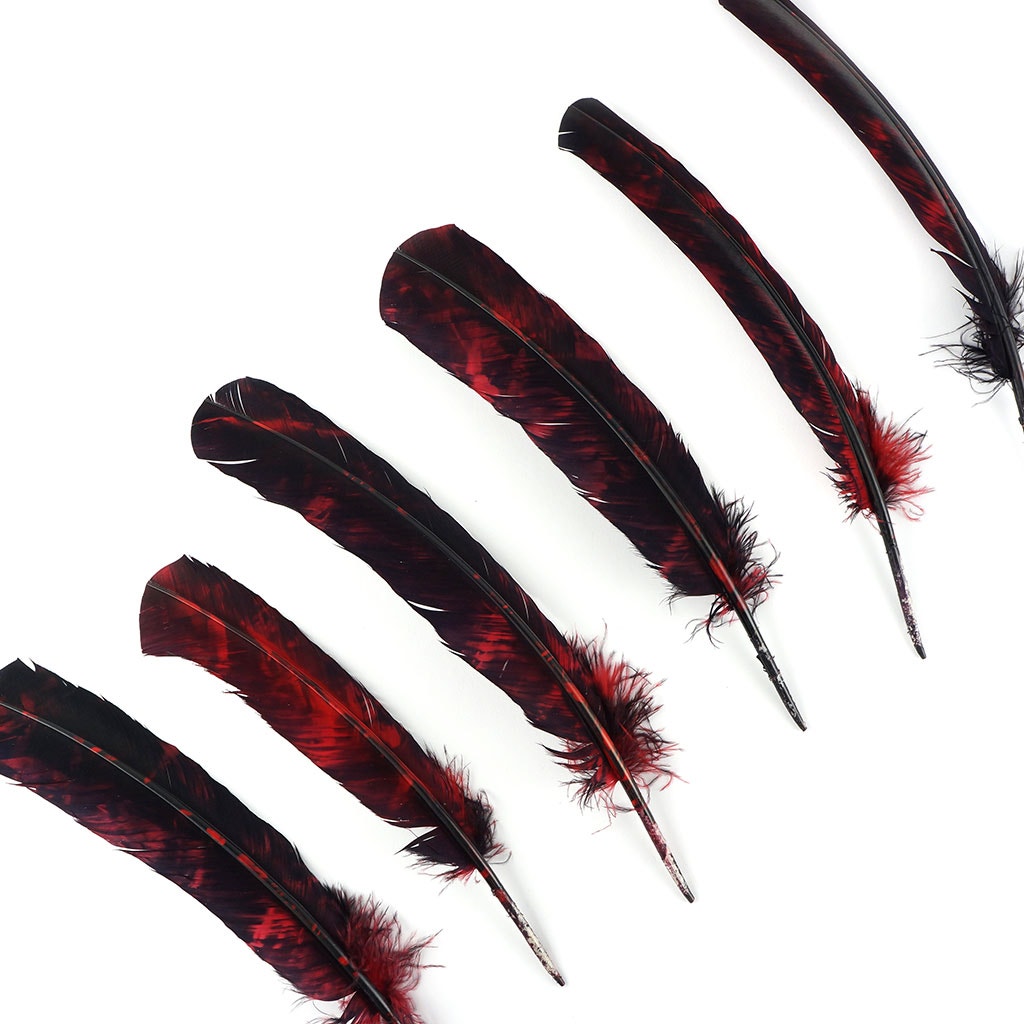 Turkey Quill Left Wing - Tie Dye - Red & Black - Feathers