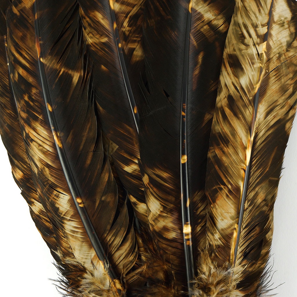 Turkey Quill Right Wing - Tie Dye - Beige & Brown - Feathers