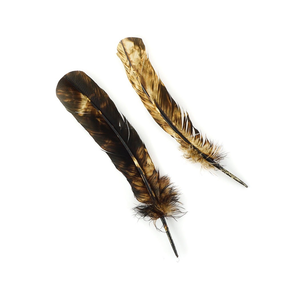 Turkey Quill Right Wing - Tie Dye - Beige & Brown - Feathers