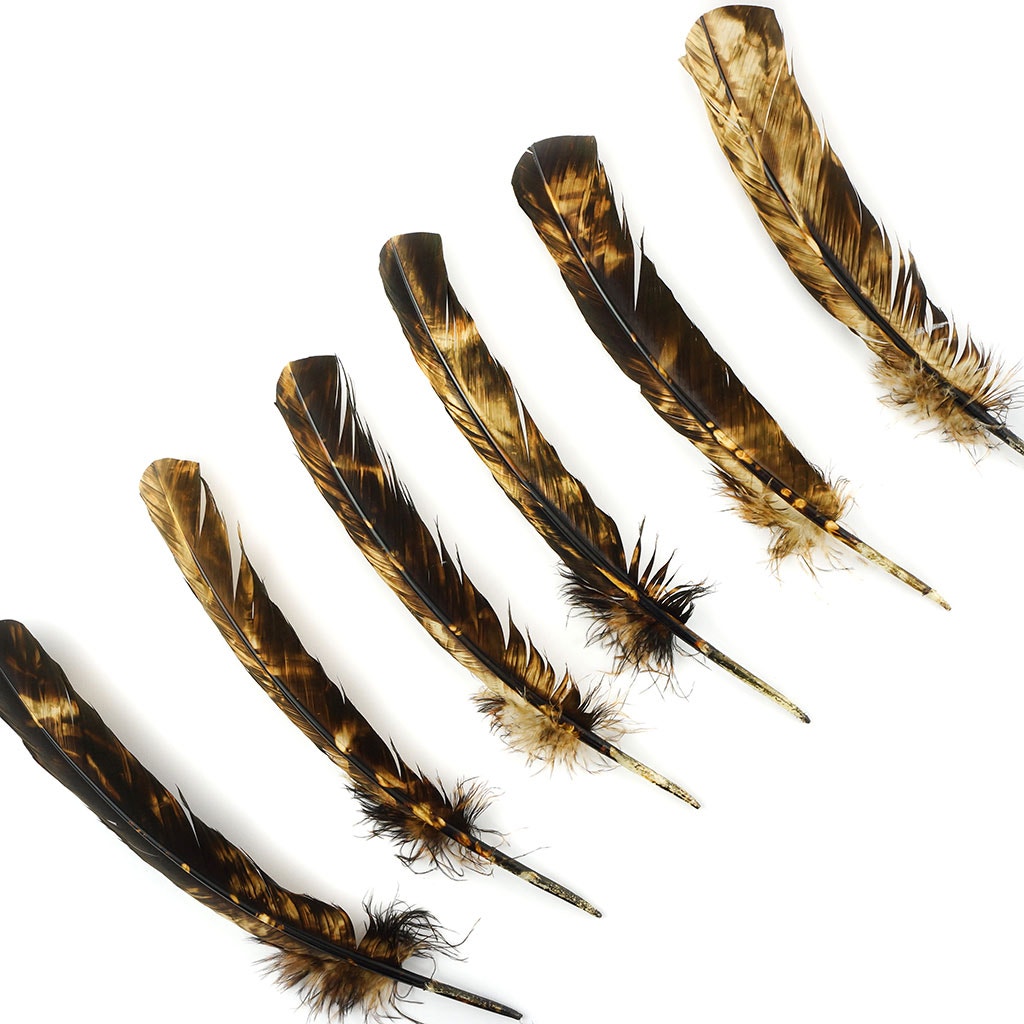 Turkey Quill Right Wing - Tie Dye - Beige & Brown - Feathers