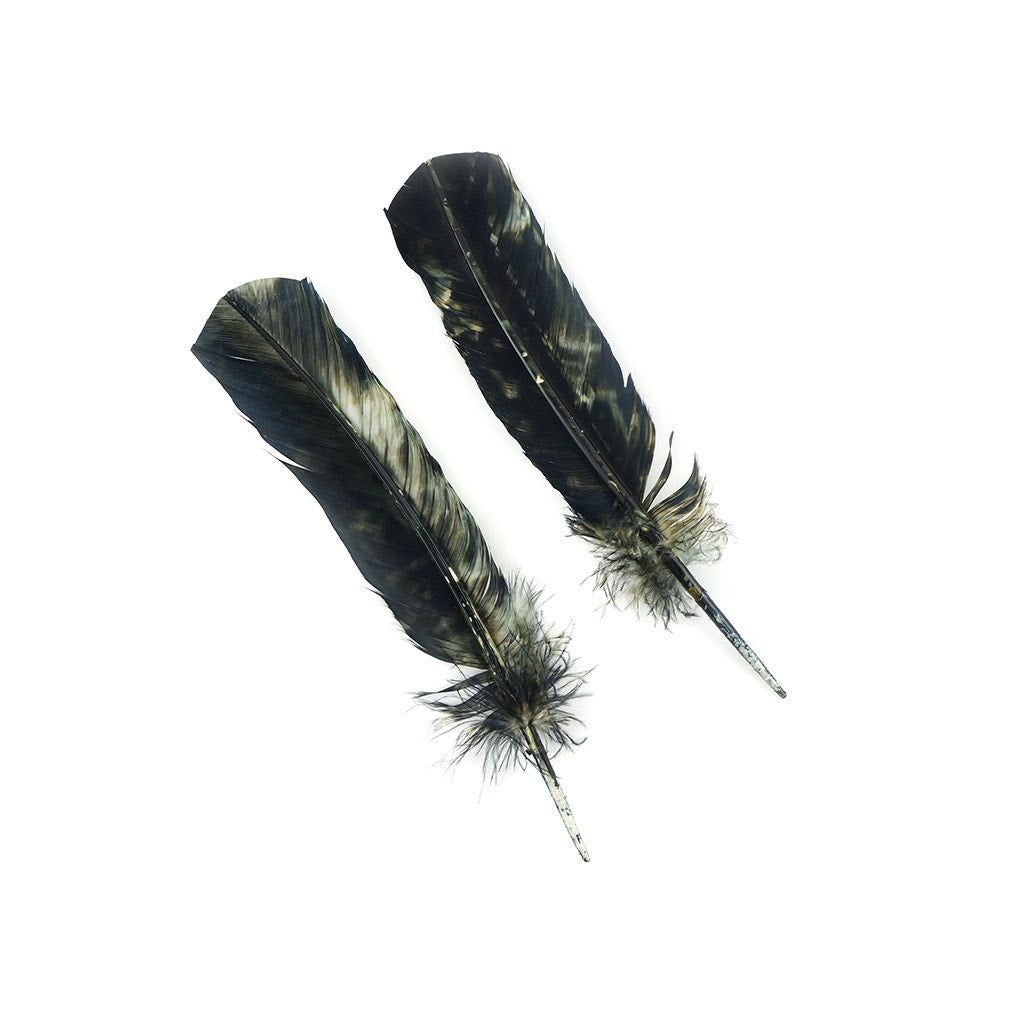 Turkey Quill - Tie Dye - Black and White - Feathers