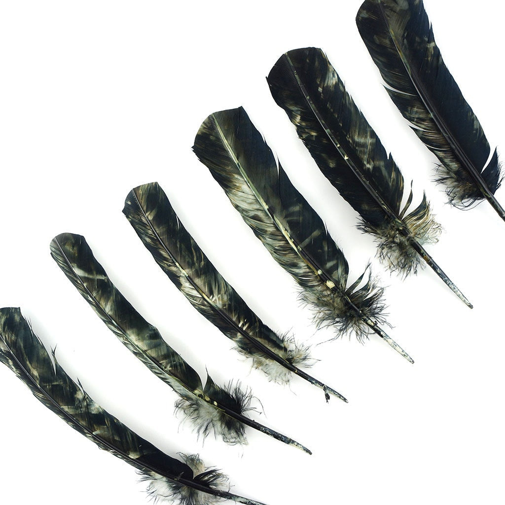 Turkey Quill - Tie Dye - Black and White - Feathers