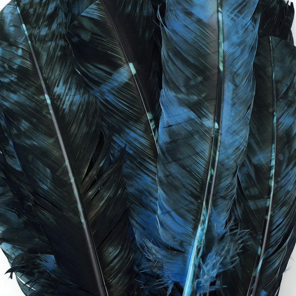 Turkey Quill - Tie Dye - Ocean Blue and Black - Feathers