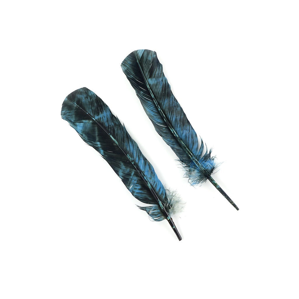 Turkey Quill - Tie Dye - Ocean Blue and Black - Feathers