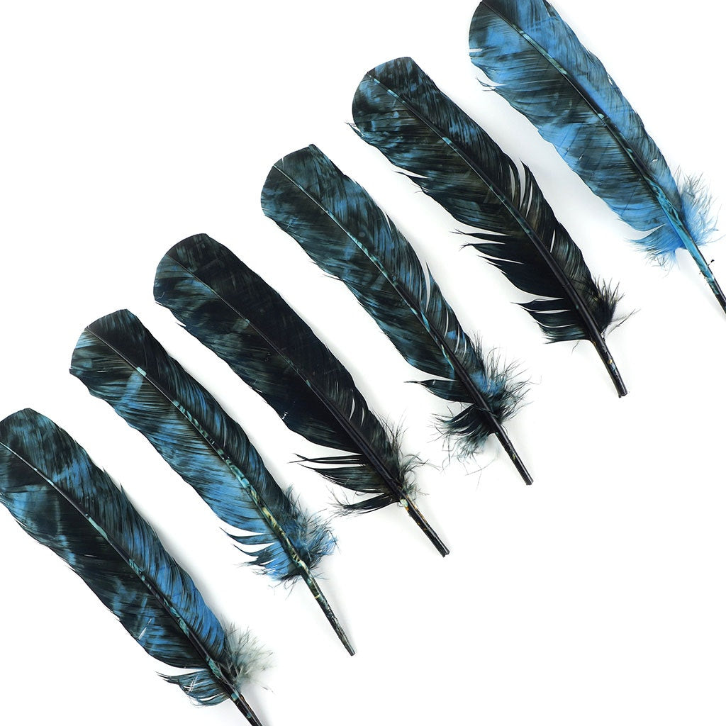 Turkey Quill - Tie Dye - Ocean Blue and Black - Feathers