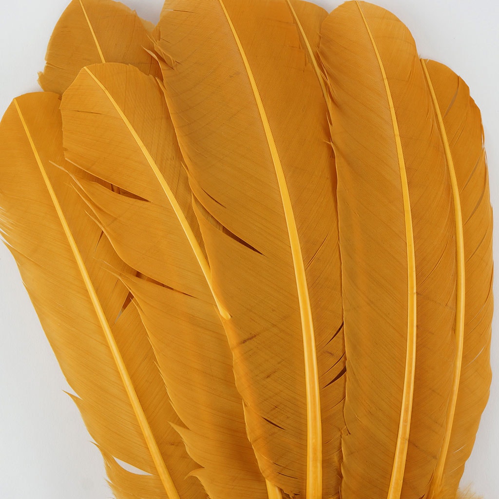 Turkey Quills by Pound - Left Wing - Antique Gold - Feathers