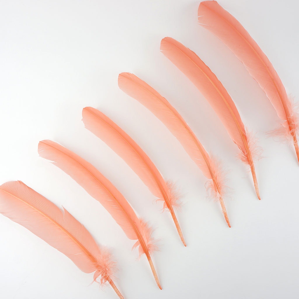 Turkey Quills by Pound - Left Wing - Apricot Blush - Feathers