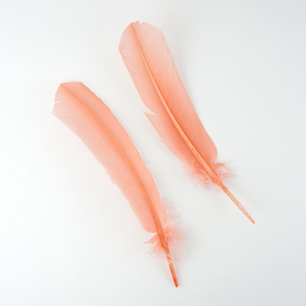 Turkey Quills by Pound - Left Wing - Apricot Blush - Feathers