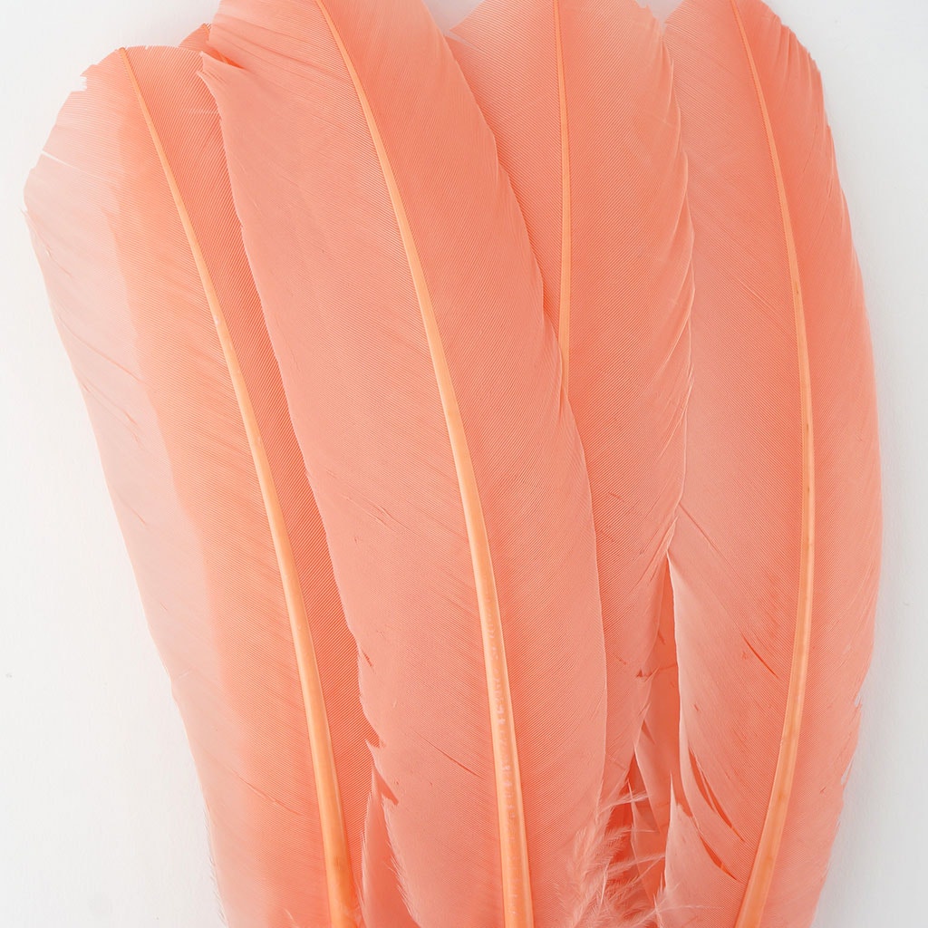 Turkey Quills by Pound - Left Wing - Apricot Blush - Feathers