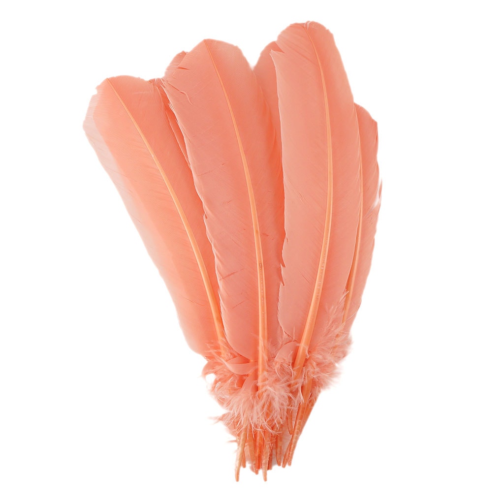 Turkey Quills by Pound - Left Wing - Apricot Blush - Feathers