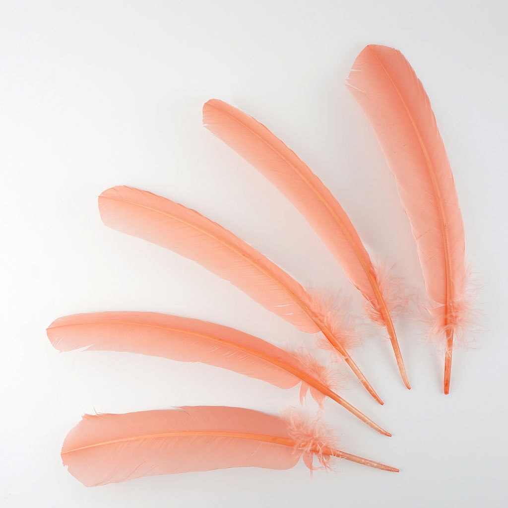 Turkey Quills by Pound - Left Wing - Apricot Blush - Feathers