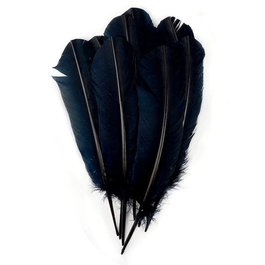 Turkey Quills by Pound - Left Wing - Black - Feathers