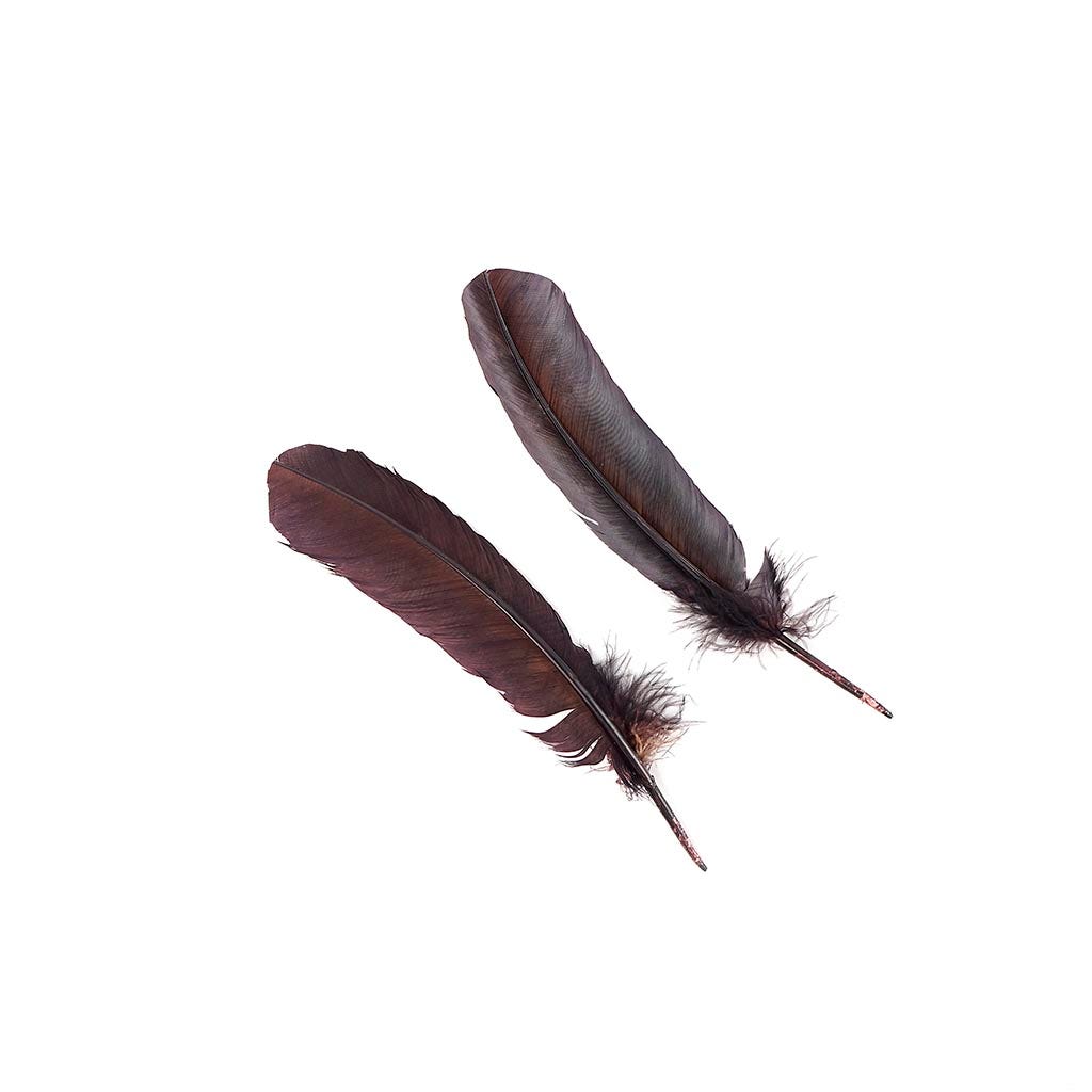 Turkey Quills by Pound - Left Wing - Brown - Feathers