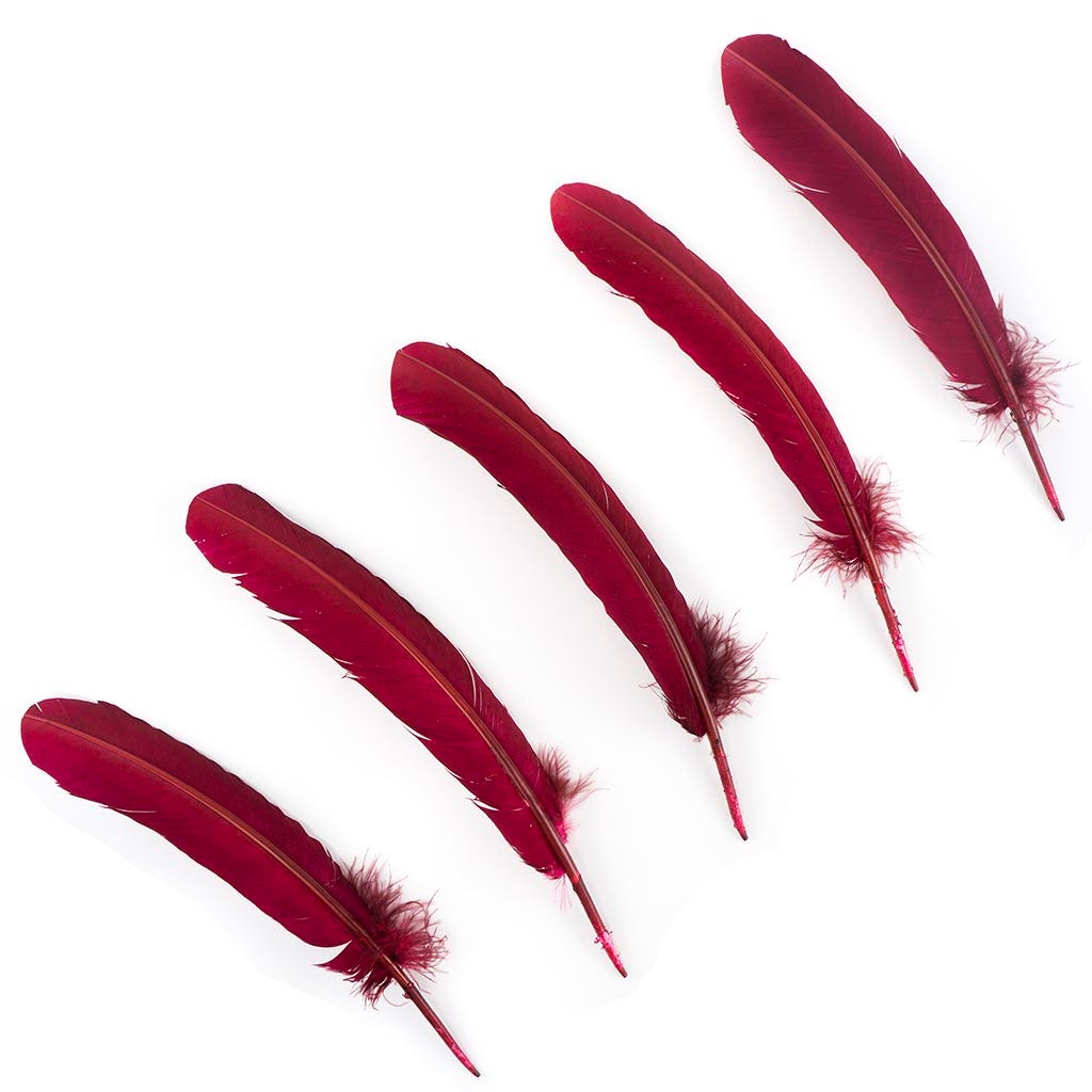 Turkey Quills by Pound - Left Wing - Burgundy - Feathers